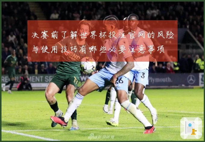 决赛前了解世界杯投注官网的风险与使用技巧有哪些必要注意事项