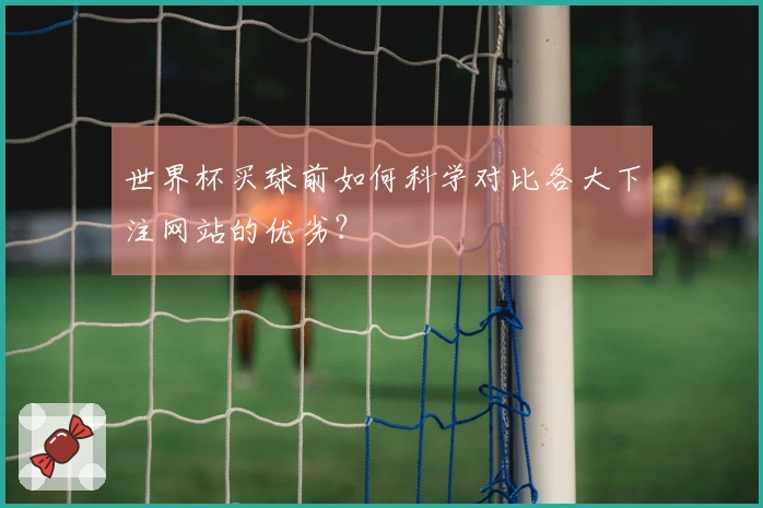 世界杯买球前如何科学对比各大下注网站的优劣？