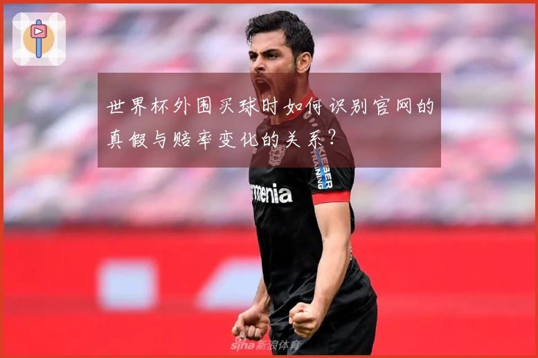 世界杯外围买球时如何识别官网的真假与赔率变化的关系？