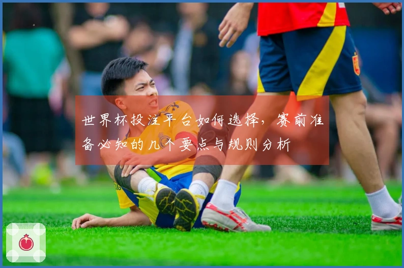 世界杯投注平台如何选择,赛前准备必知的几个要点与规则分析