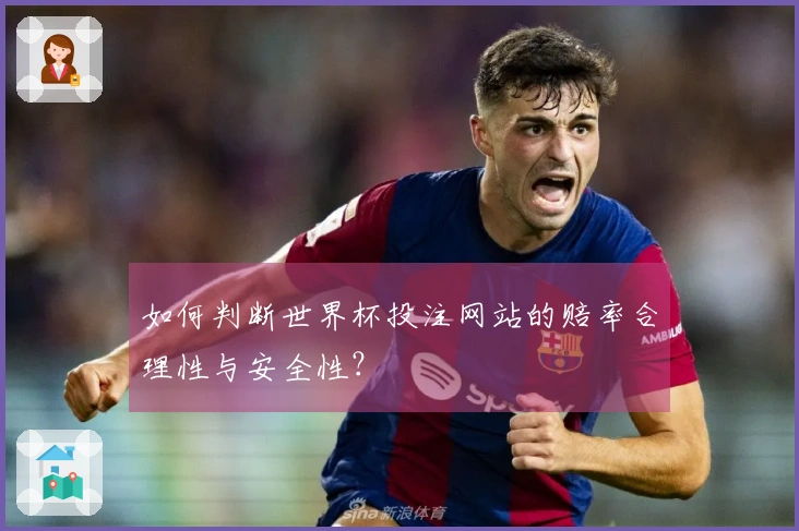 如何判断世界杯投注网站的赔率合理性与安全性？