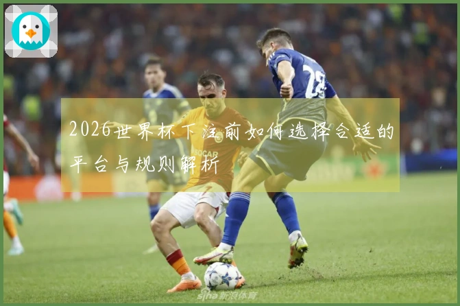 2026世界杯下注前如何选择合适的平台与规则解析