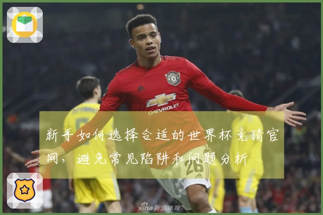 新手如何选择合适的世界杯竞猜官网，避免常见陷阱和问题分析