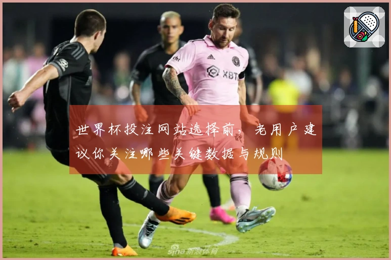 世界杯投注网站选择前，老用户建议你关注哪些关键数据与规则