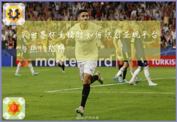 买世界杯竞猜时如何识别正规平台与热门陷阱