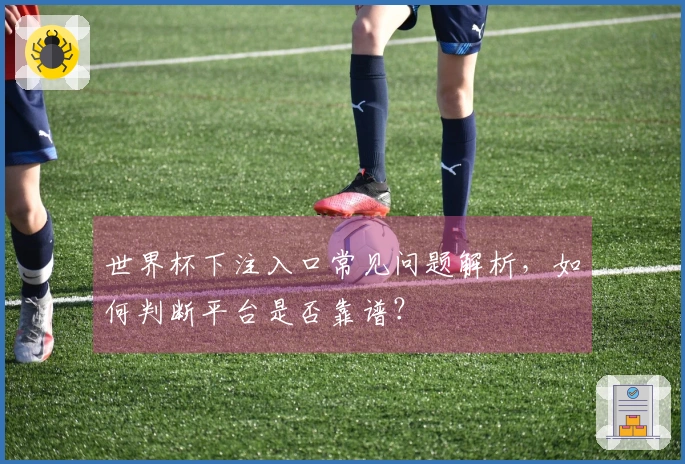 世界杯下注入口常见问题解析，如何判断平台是否靠谱？