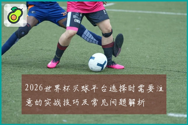 2026世界杯买球平台选择时需要注意的实战技巧及常见问题解析