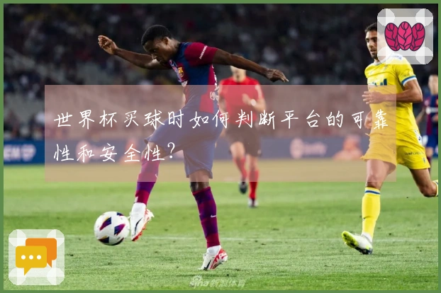世界杯买球时如何判断平台的可靠性和安全性？
