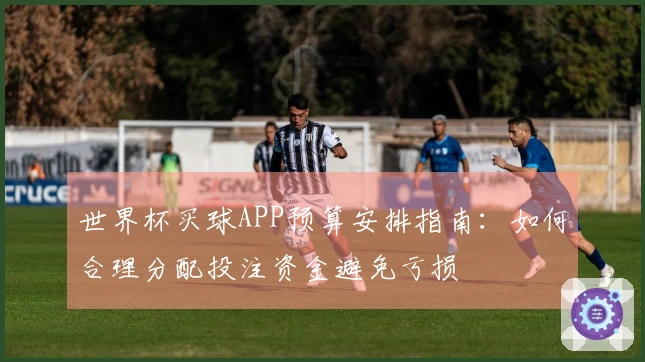 世界杯买球APP预算安排指南：如何合理分配投注资金避免亏损