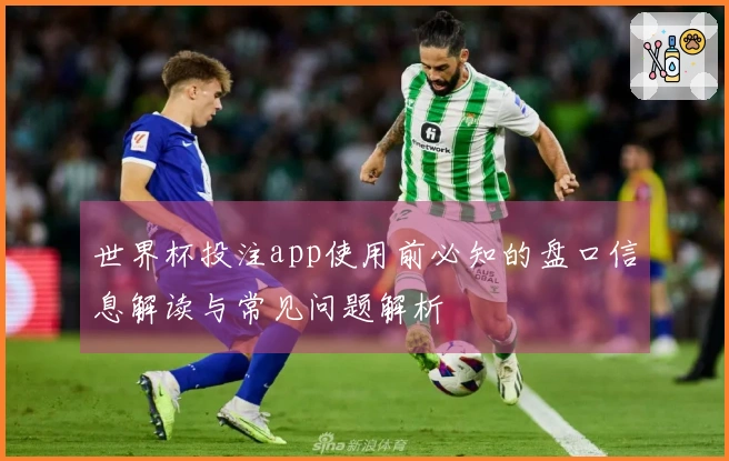 世界杯投注app使用前必知的盘口信息解读与常见问题解析