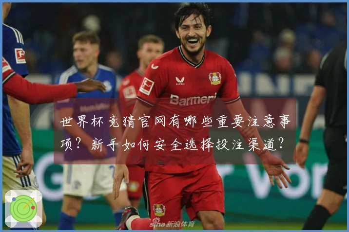 世界杯竞猜官网有哪些重要注意事项？新手如何安全选择投注渠道？