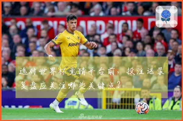 选对世界杯竞猜平台前，投注记录复盘应关注哪些关键点？