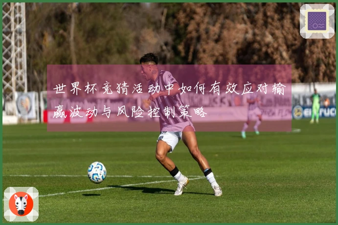 世界杯竞猜活动中如何有效应对输赢波动与风险控制策略