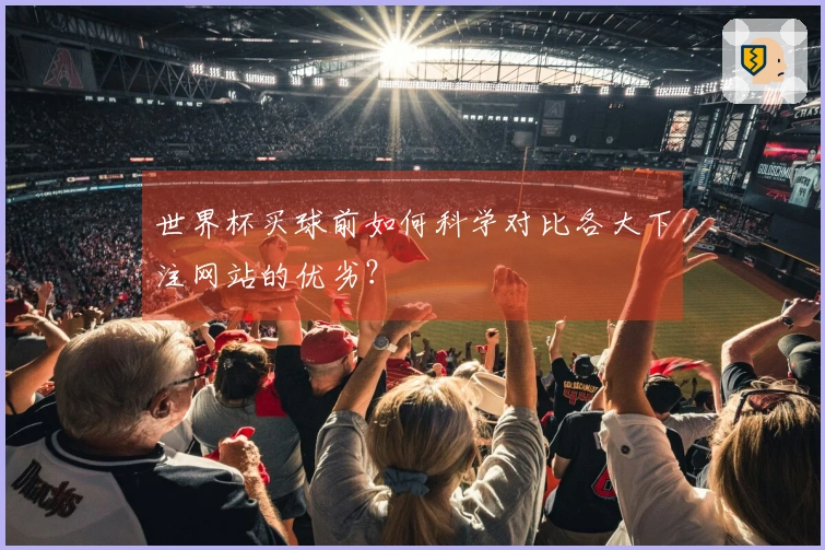 世界杯买球前如何科学对比各大下注网站的优劣？