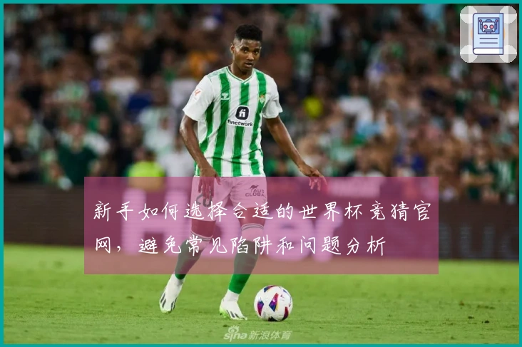新手如何选择合适的世界杯竞猜官网，避免常见陷阱和问题分析