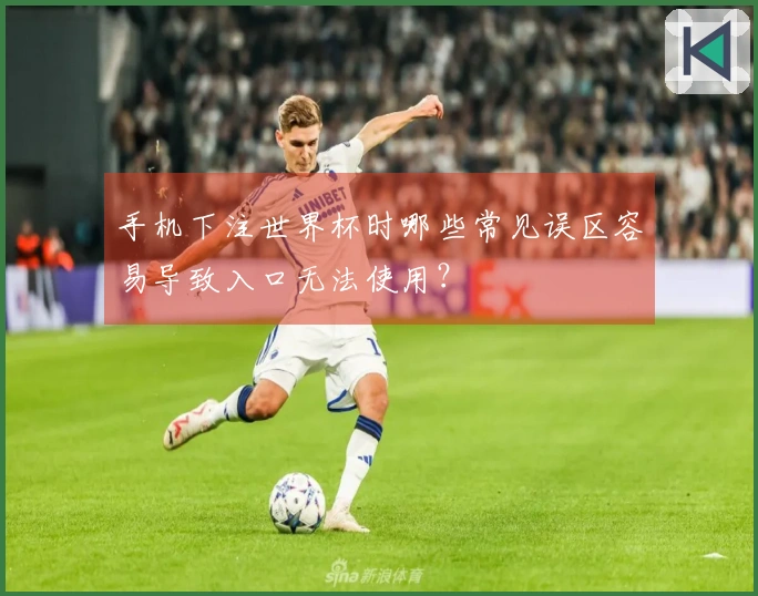手机下注世界杯时哪些常见误区容易导致入口无法使用？