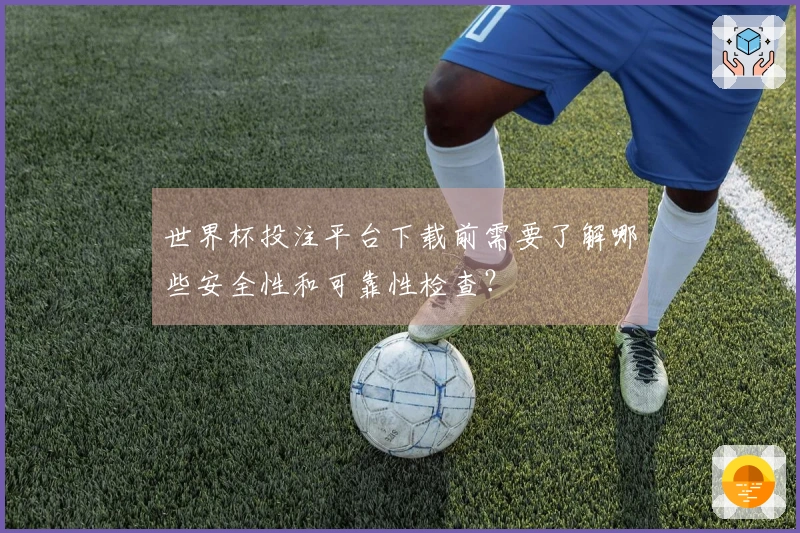 世界杯投注平台下载前需要了解哪些安全性和可靠性检查？