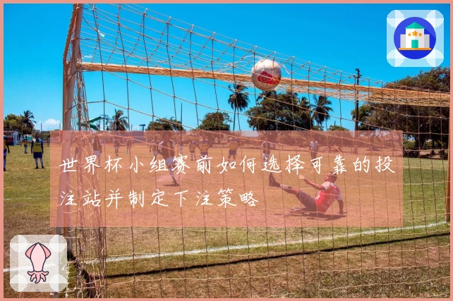 世界杯小组赛前如何选择可靠的投注站并制定下注策略