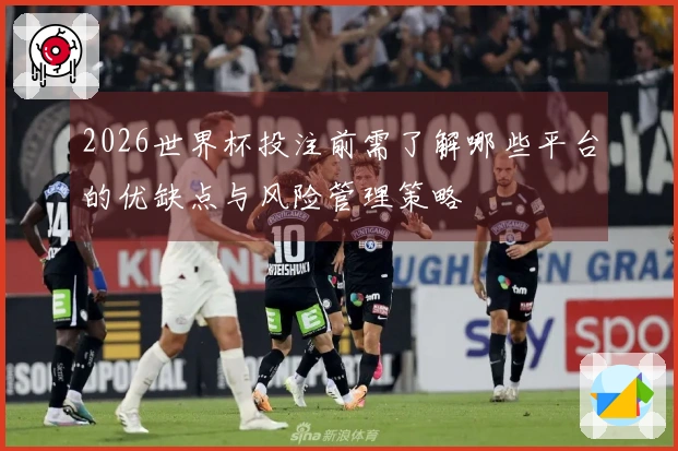 2026世界杯投注前需了解哪些平台的优缺点与风险管理策略