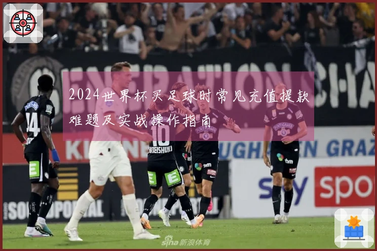 2024世界杯买足球时常见充值提款难题及实战操作指南