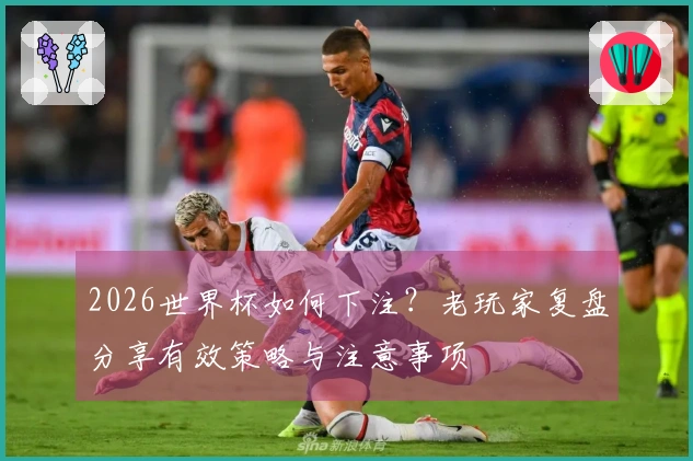 2026世界杯如何下注？老玩家复盘分享有效策略与注意事项