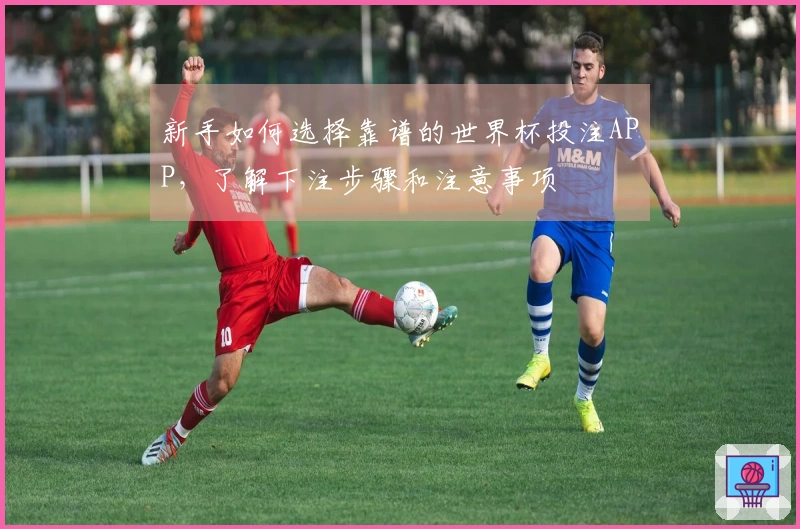 新手如何选择靠谱的世界杯投注APP，了解下注步骤和注意事项