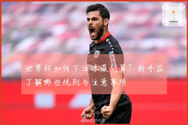 世界杯如何下注才最划算？新手应了解哪些规则与注意事项