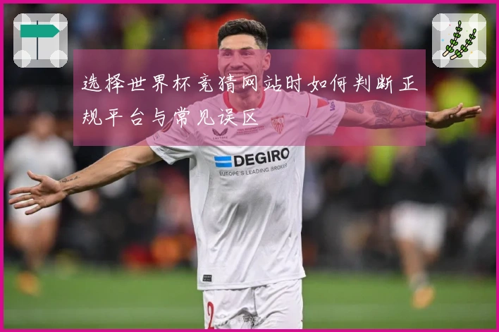 选择世界杯竞猜网站时如何判断正规平台与常见误区
