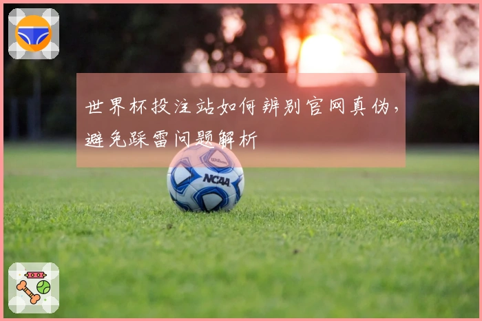 世界杯投注站如何辨别官网真伪，避免踩雷问题解析
