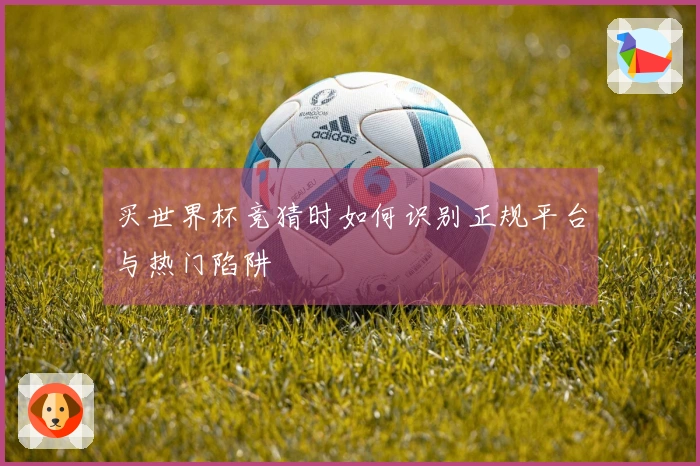 买世界杯竞猜时如何识别正规平台与热门陷阱