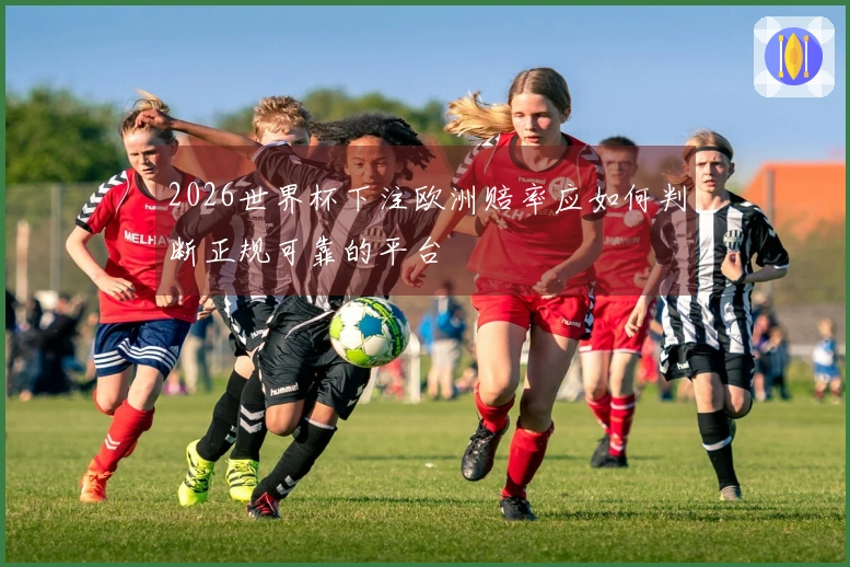 2026世界杯下注欧洲赔率应如何判断正规可靠的平台