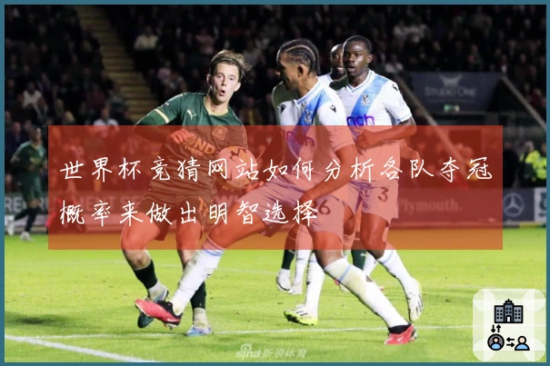世界杯竞猜网站如何分析各队夺冠概率来做出明智选择