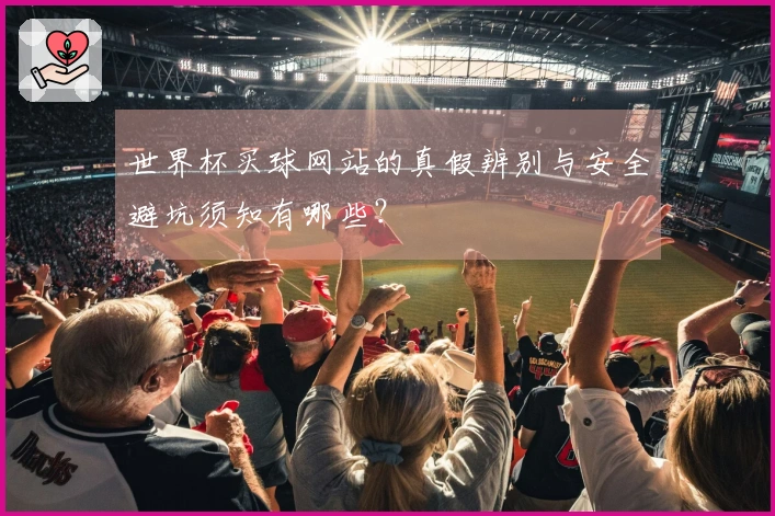 世界杯买球网站的真假辨别与安全避坑须知有哪些？