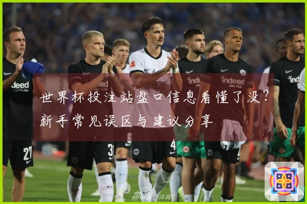 世界杯投注站盘口信息看懂了没？新手常见误区与建议分享