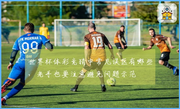 世界杯体彩竞猜中常见误区有哪些，老手也要注意避免问题示范