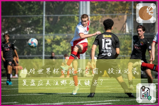 选对世界杯竞猜平台前，投注记录复盘应关注哪些关键点？