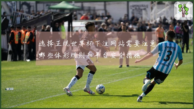 选择正规世界杯下注网站需要注意哪些体彩规则和平台安全措施