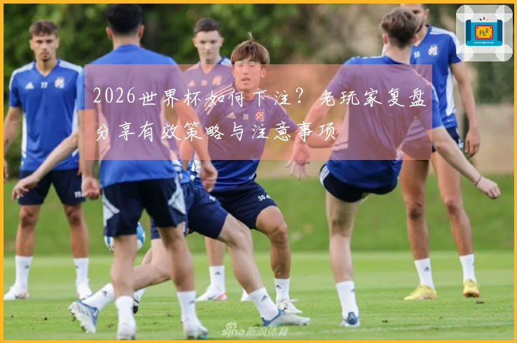 2026世界杯如何下注？老玩家复盘分享有效策略与注意事项