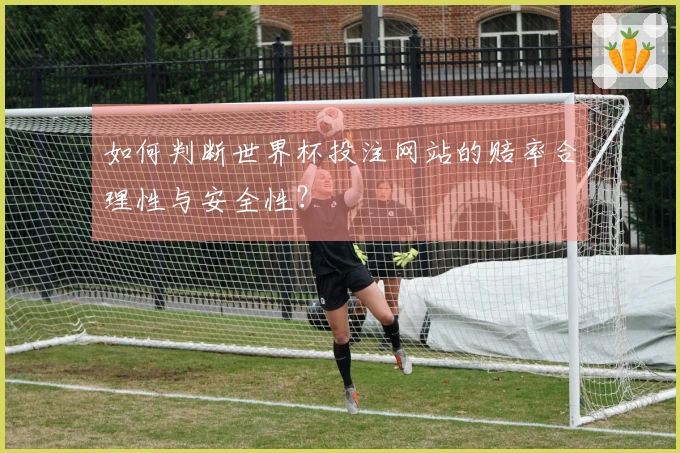 如何判断世界杯投注网站的赔率合理性与安全性？