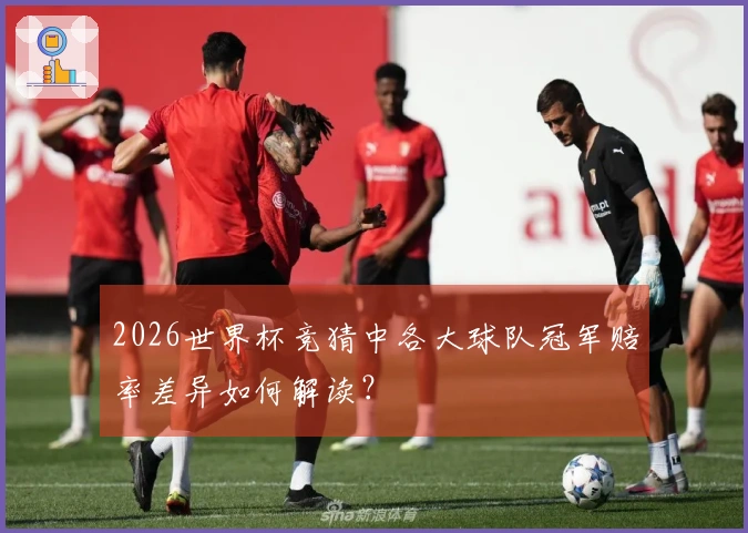 2026世界杯竞猜中各大球队冠军赔率差异如何解读？