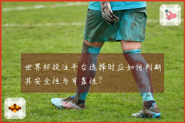 世界杯投注平台选择时应如何判断其安全性与可靠性？